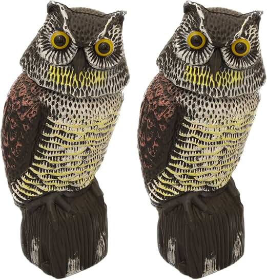 Amazon.co.uk plastic owl