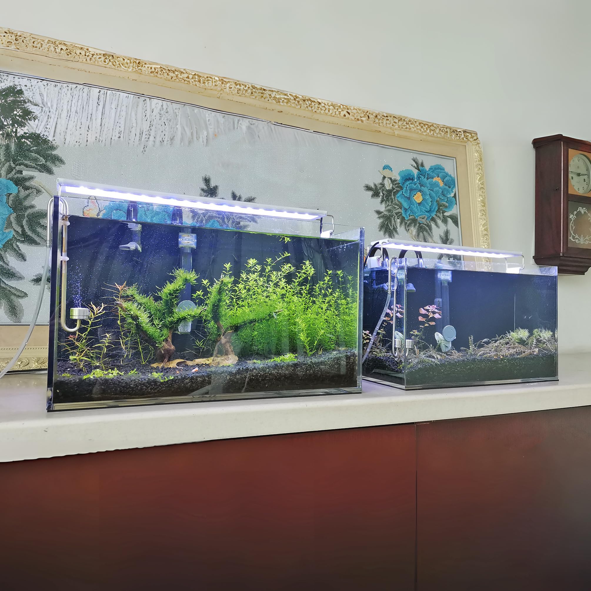 ★BUCK-TICK 会報「FISHTANK」No.81 〜83、85〜90★ ☆BUCK-TICK 会報「FISHTANK」No.81 〜83、85〜90 BUCK-TICK