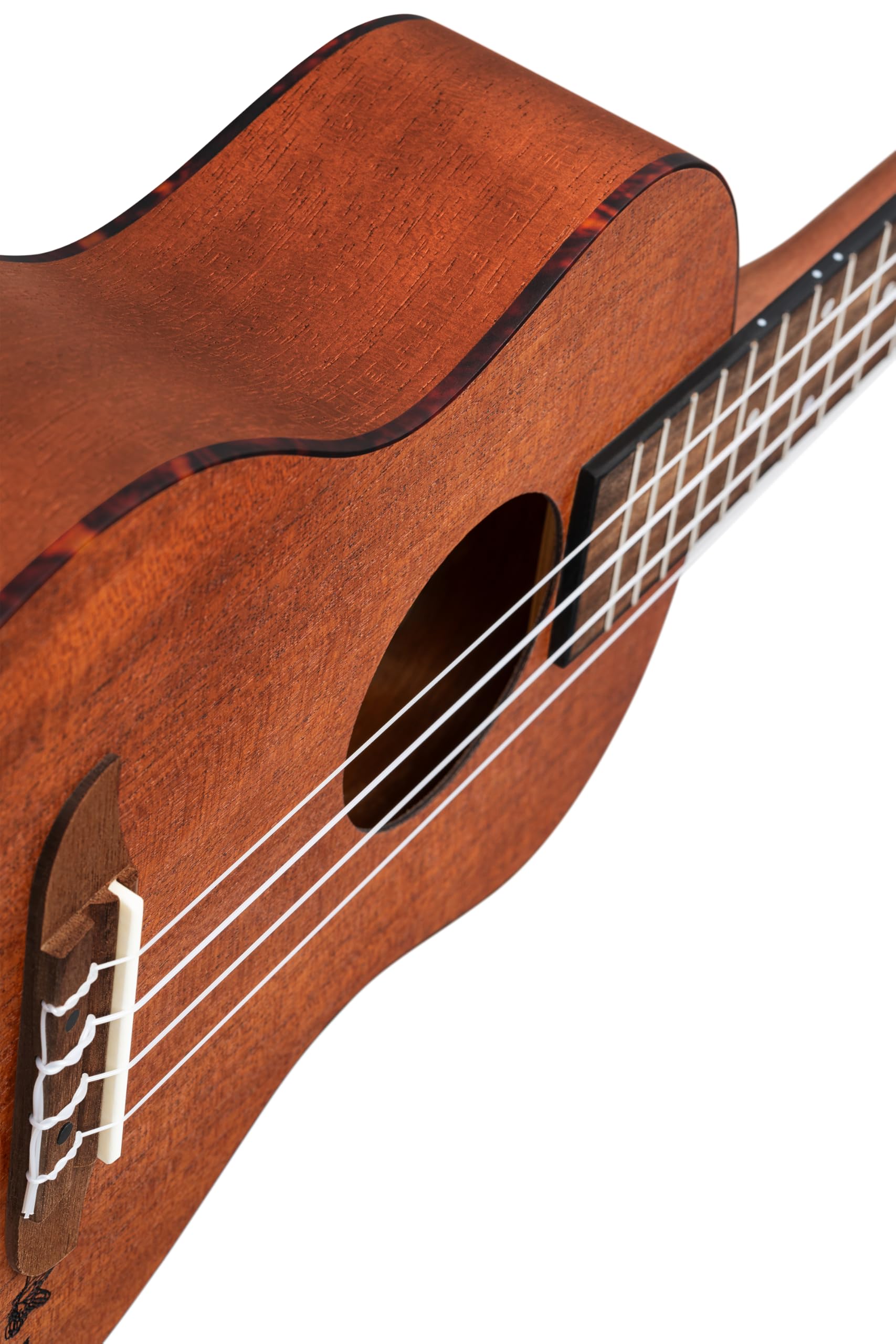 Ortega RU5 mm-TE - Ukelele tenor con parte superior de caoba y cuerpo de Sapele en acabado satinado, 18 trastes, Marrón