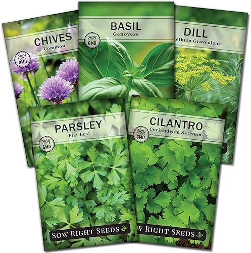 Sow Right Seeds - Colección de 5 semillas de hierbas para plantar - Albahaca genovesa, cebollino, cilantro, perejil italiano y eneldo para plantar y