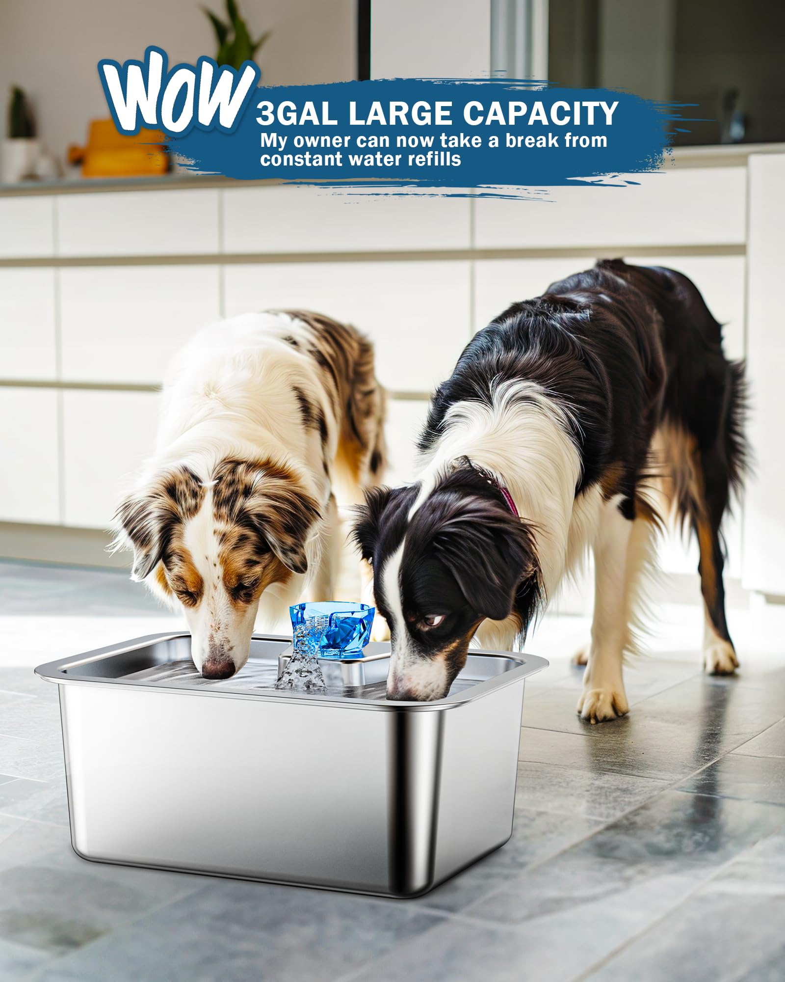 Stainless Steel Dog Water Fountain for Large Dogs, PETNF 3 Gallon Big Pet Water Fountain with 2 Filters, Dog Water Bowl Dispenser Cat Drinking Fountain Inside for Multiple Pets, Easy to Assemble&Clean