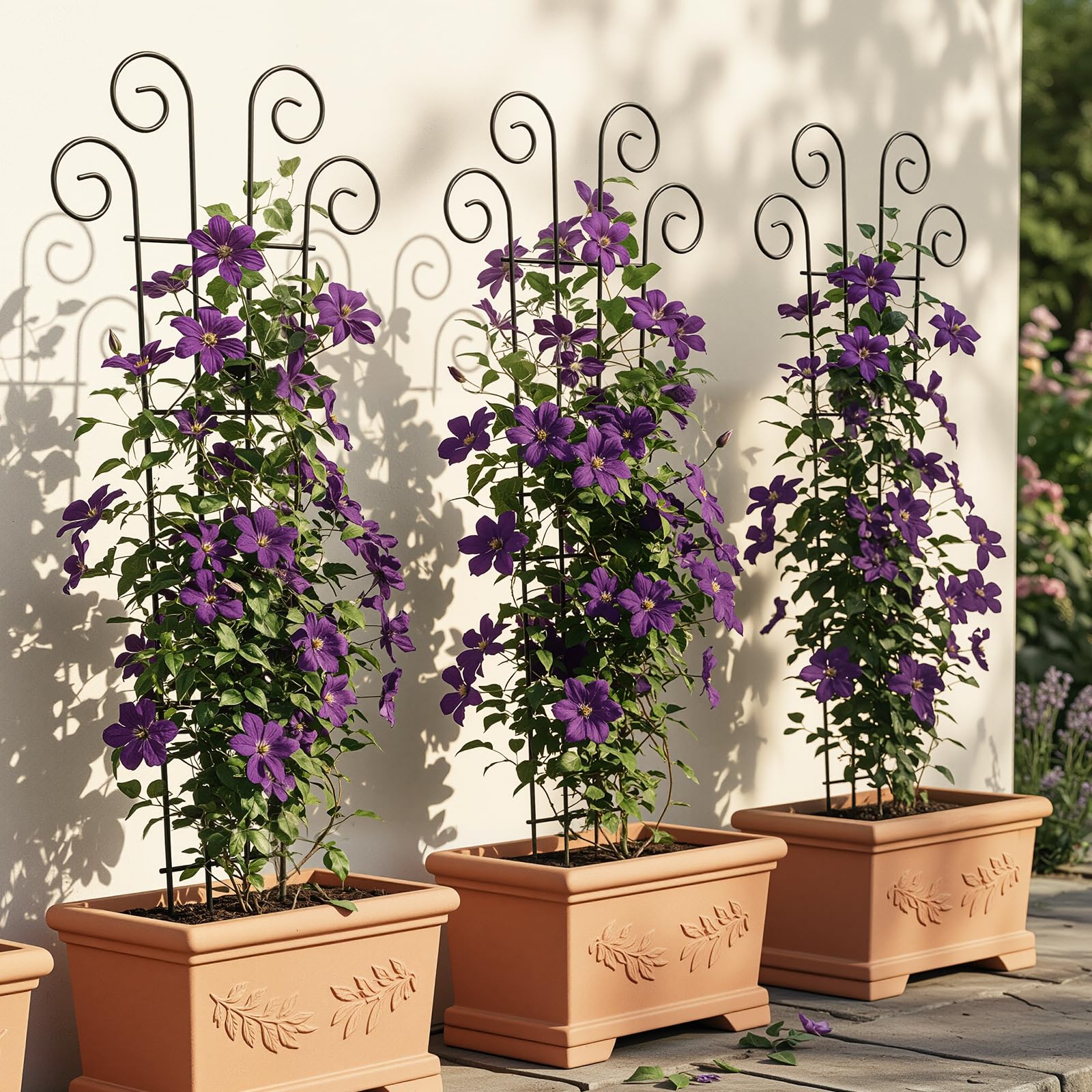 Thealyn 4er-Pack 81cm/32 Zoll Innenpflanzenspalier fr kletternde  Topfpflanzen, Outdoor-Metall-Gartenspalier fr Zimmerpflanzen, Blumen,  Weinreben, ivy Wellenform, Schwarz : Amazon.de: Garten
