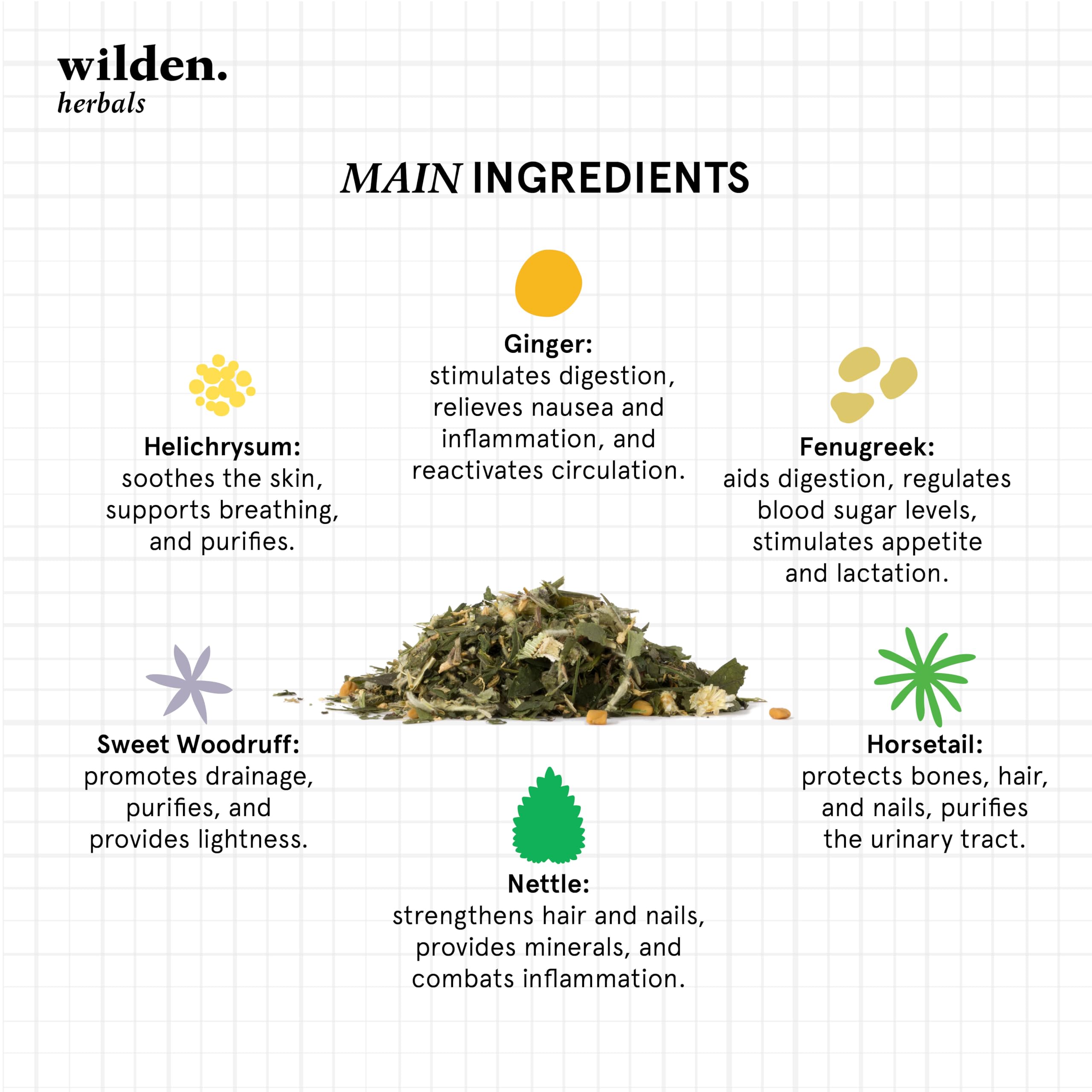 Wilden Herbals Remedium n.7 Detox - Té de Hierbas Depurativo - Mezcla de Hierbas Detoxificantes para Eliminar el Exceso de Toxinas - 10 Bolsitas