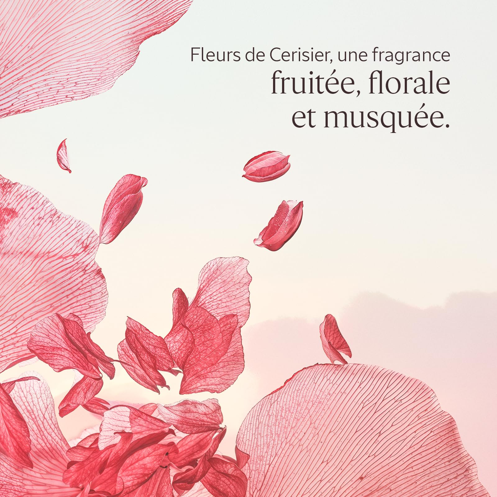 L'OCCITANE - Coffret Routine Corps Fleurs de Cerisier | Gel Douche, Lait Corps Parfumé et Crème Mains - Notes fruitées, florales et musquées - Fabriqué en France