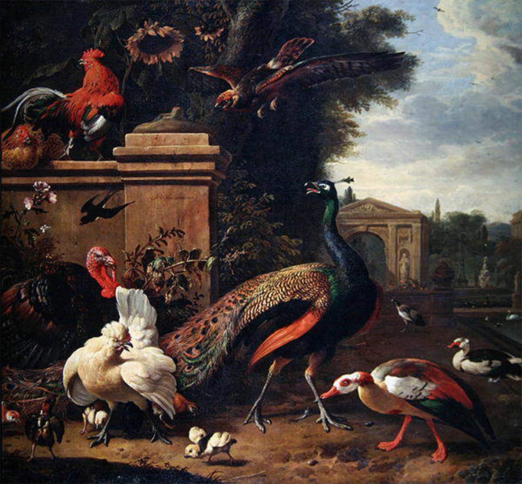 ARTXLXXBN Famous Painting Canvas Artwork Graffiti Print Famous Paintings Animal by Melchior De Hondecoeter Portrait Canvas Image for Home Decor 60x90cm
