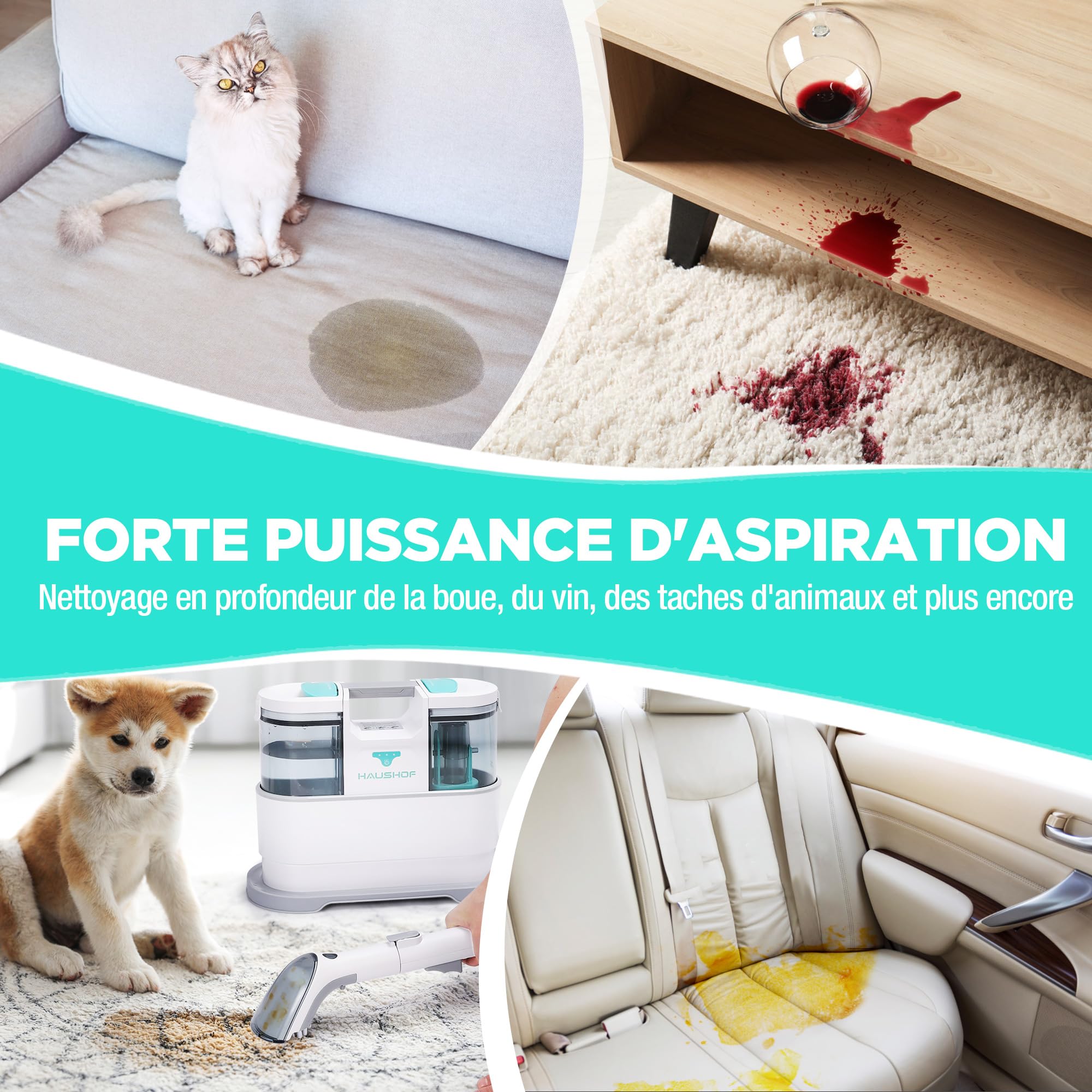HAUSHOF StainZapper Air Nettoyeur de Tapis Portable 24V avec Nettoyant et Brosses, Nettoyeur Moquettes Shampouineuse pour Canapé, Tissus d'ameublement, Voiture, Escaliers, Tissus, Animaux, 38*20*30 CM