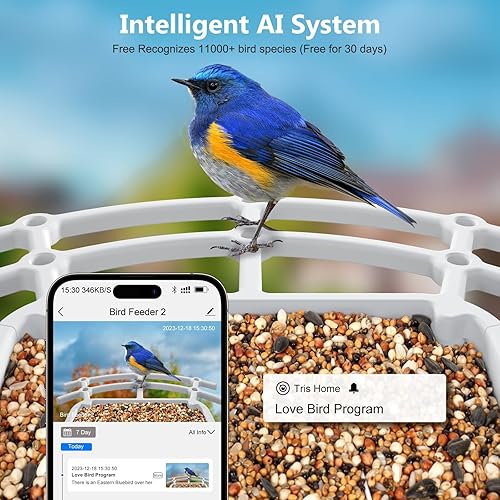 Miniatura 2 de Comedero para pájaros con cámara, alimentador inteligente para pájaros con cámara, videos de aves de captura automática HD de 1080P, cámara de