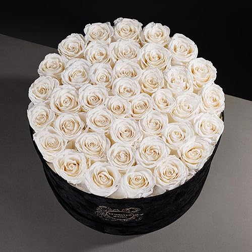 Miniatura 3 de UFOREVER ROSES Rosas preservadas de lujo en caja de gamuza, regalos de rosas florales para mujeres, flores para el día de San Valentín, rosas para