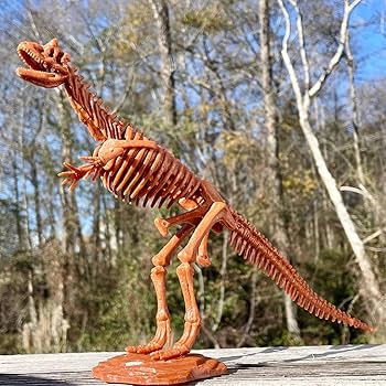 Amazon.co.jp: Geoworld カルノタウルス恐竜掘りキット – 12インチの