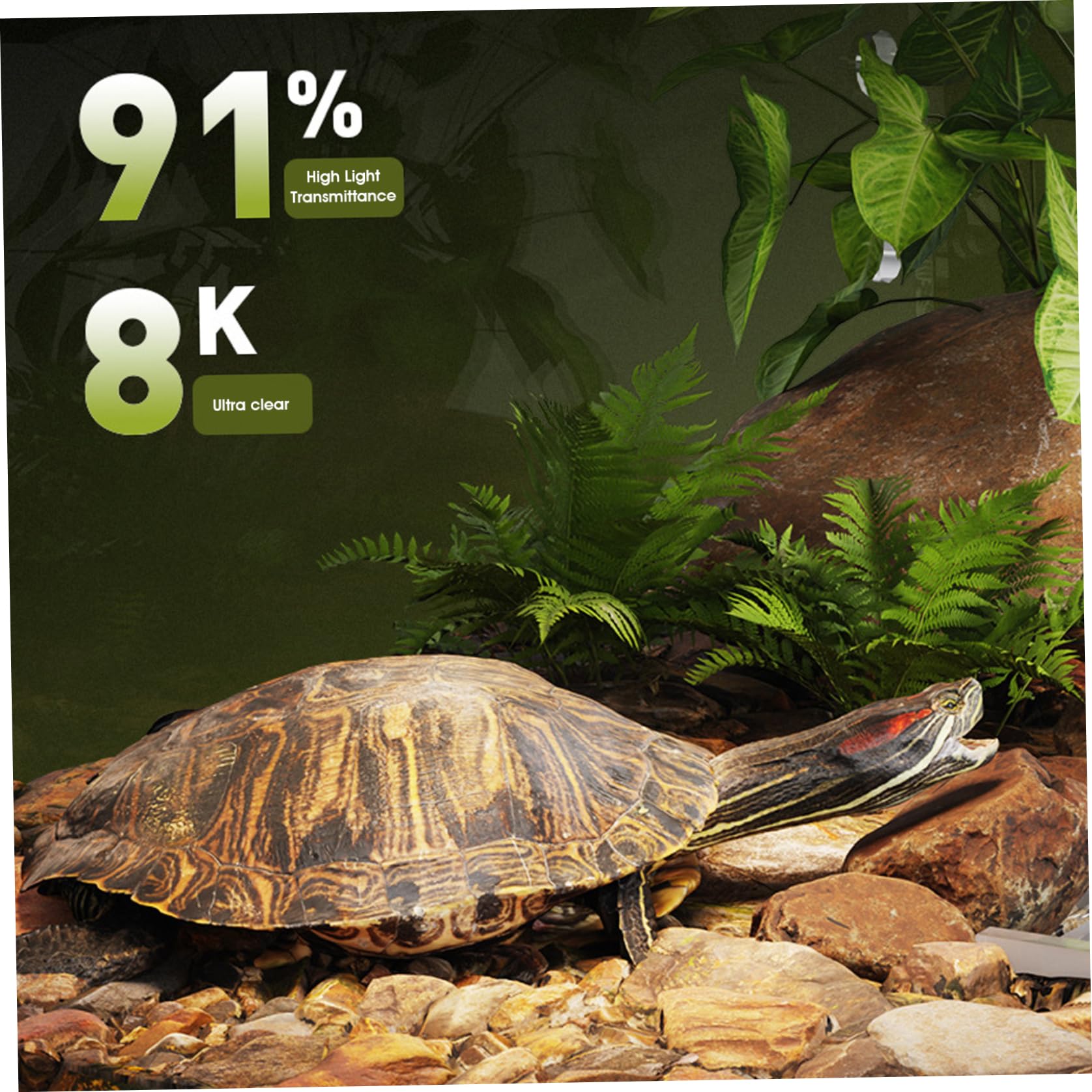sobre el Tanque para Tortugas con Tapa extraíble, Altura Ajustable, diseño antiescape para Tortugas acuáticas, Adorno Transparente para Tanque de Reptiles