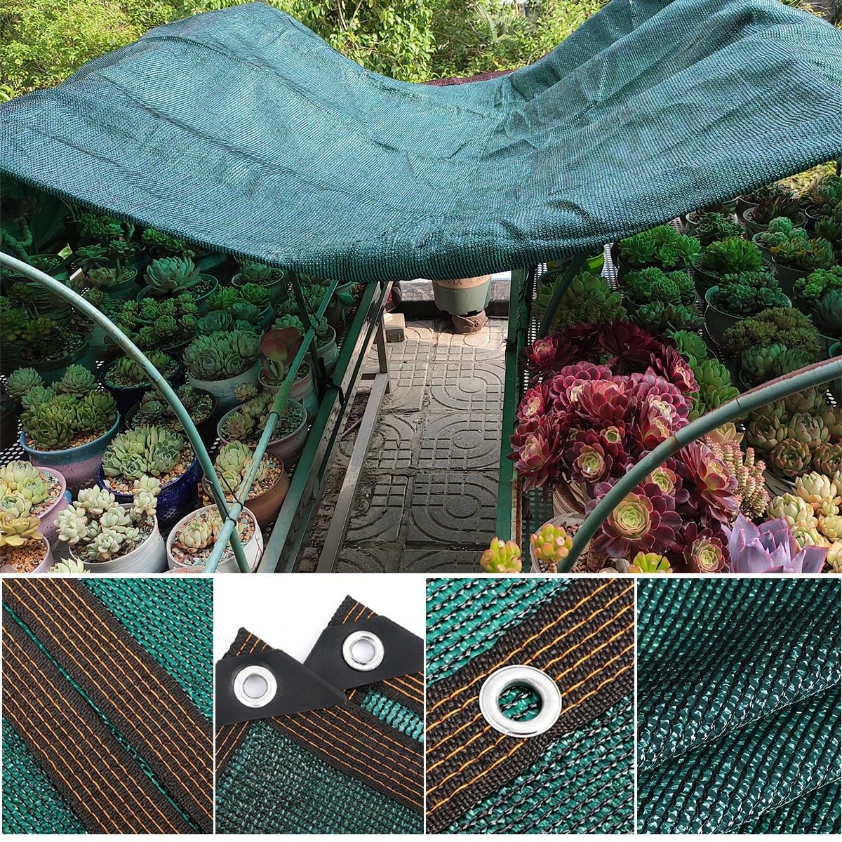 Genérico Red de Sombra con Ojales, Toldos Exterior Terraza, Malla Sombreo para Invernadero, Terraza, Plantas, Gallinero, Resistente Al Viento(Verde Oscuro,3 x 8m)