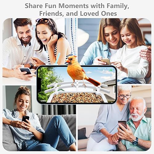 Miniatura 7 de Comedero para pájaros con cámara, alimentador inteligente para pájaros con cámara, videos de aves de captura automática HD de 1080P, cámara de