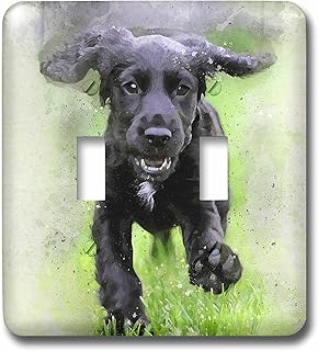 3dRose lsp_245329_2 Running Playful Black Labrador Retriever Puppy Watercolor Toggle Switch, Mixed