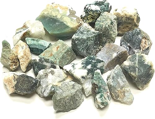 Crystal Collection Ágata de árbol áspero - 1 pieza