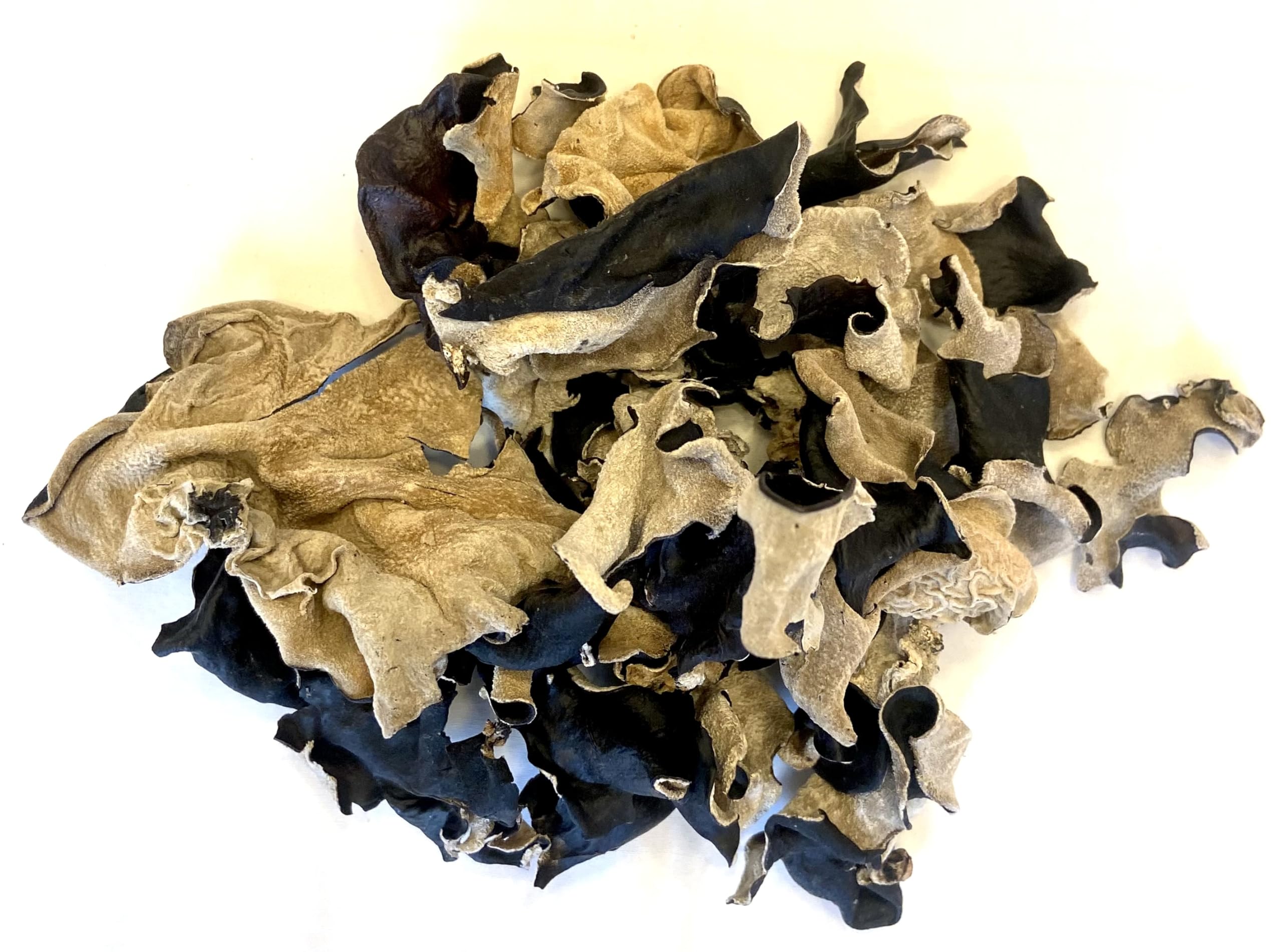 Black Fungus Tree Ear Cloud Ear Auricularia Polytricha Dried Mushrooms |  Desertcart Seychelles, image size:2560x1902
