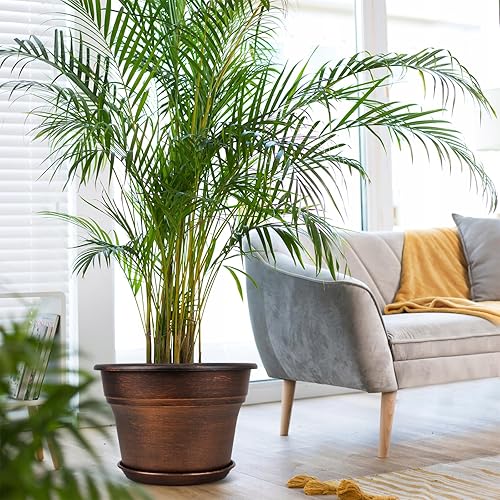 Miniatura 2 de Macetas de 10 pulgadas para interiores y exteriores, paquete de 4 macetas de plástico para plantas de interior con agujeros de drenaje y bandejas,