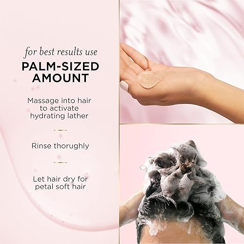 Miniatura 7 de Pantene Nutrient Blends Miracle Moisture Boost Rose Water Shampoo  Conditioner Dual Pack for Dry Hair Sulfate Free