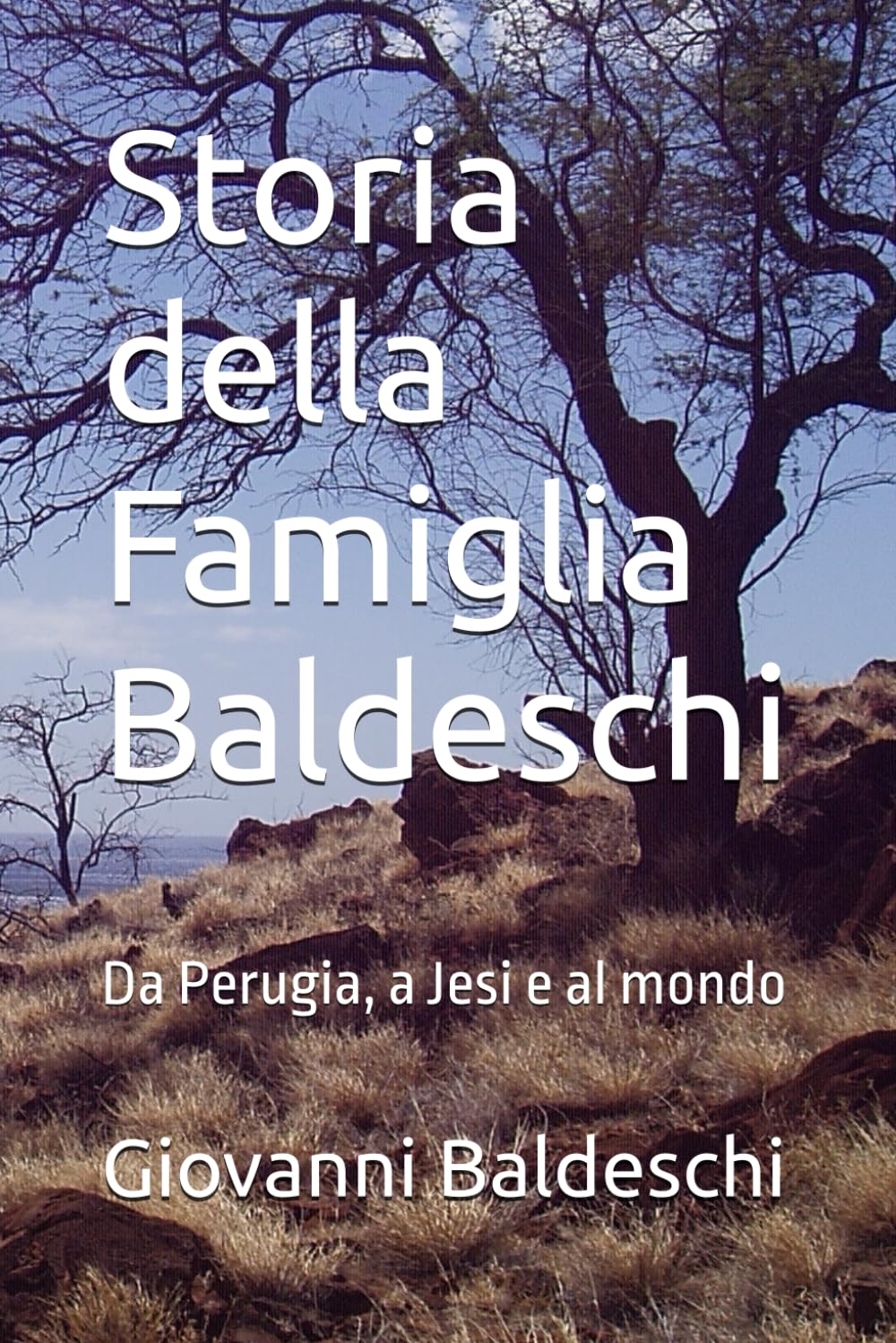 Storia della Famiglia Baldeschi: Da Perugia, a Jesi e al mondo