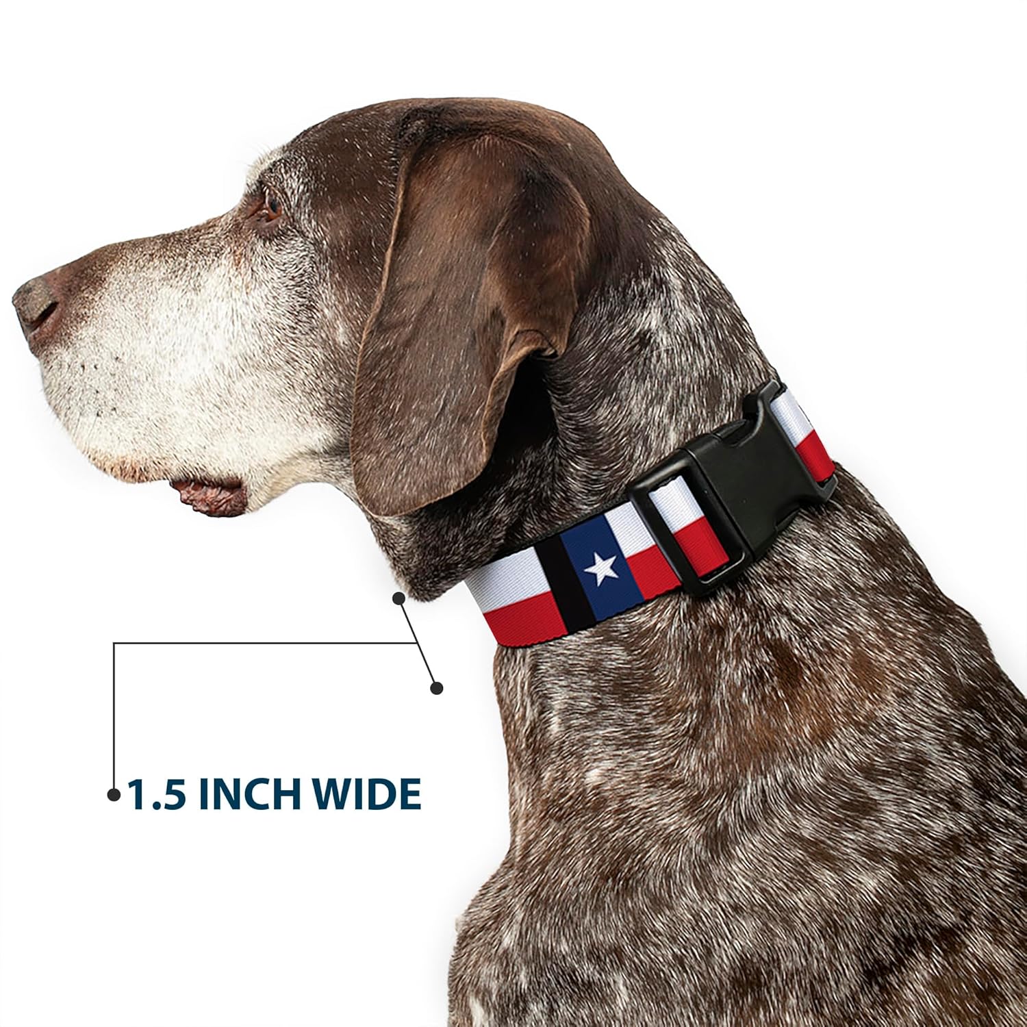 Buckle-Down Plastic Clip Collar - Texas Flag/Black - 1.5" Wide - Fits 18-32" Neck - Large