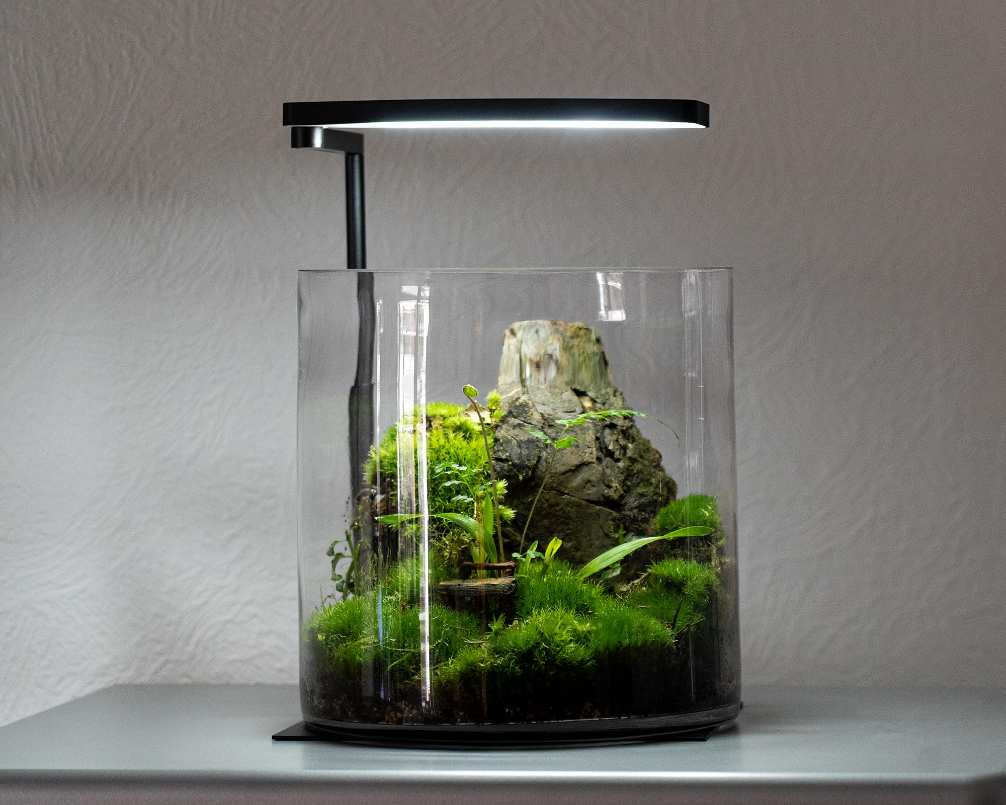 NatureHolic AquaLight Nano+ 360 Plant Pro inkl. Stand | Aquarium LED Beleuchtung | Vollspektrum Aquarien Licht | Für Nanoaquarien bis 45 Liter und Wabi Kusa