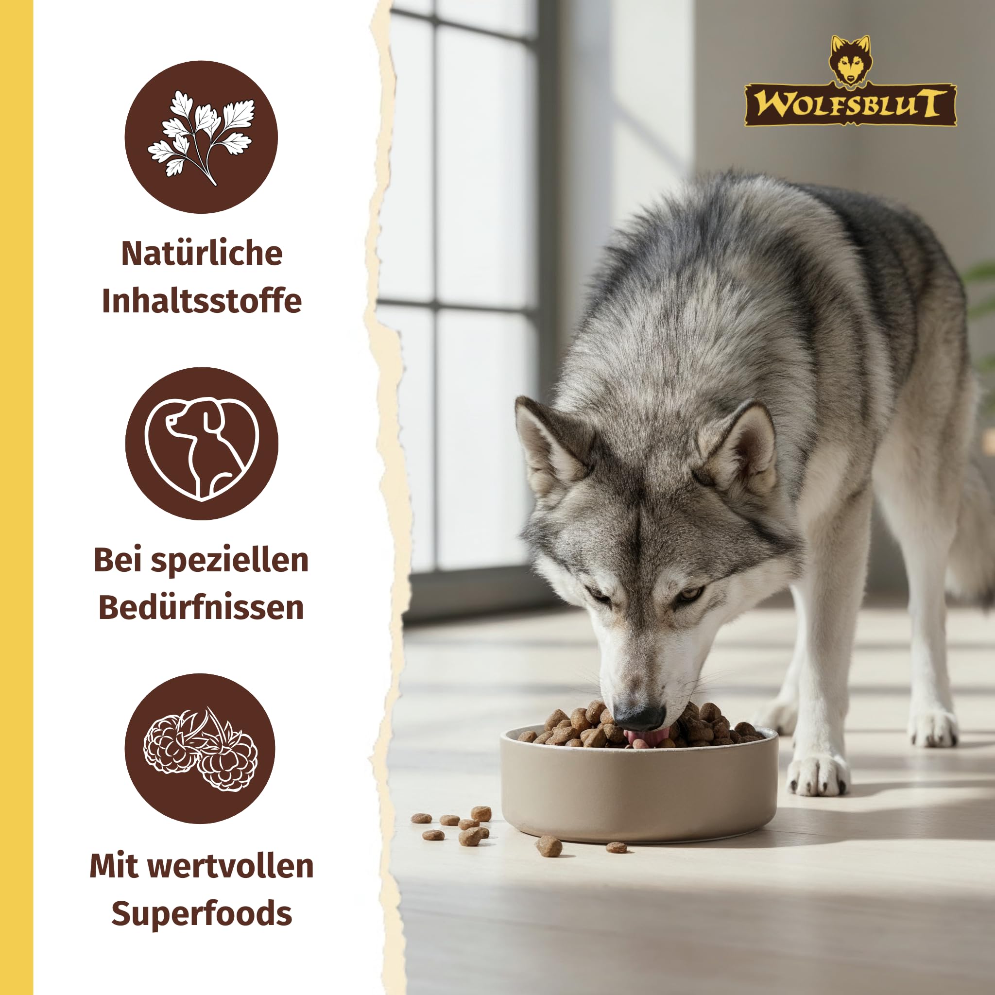 WOLFSBLUT – VetLine Hypoallergenic | Diät Trockenfutter für ausgewachsene Hunde mit Futterunverträglichkeiten. Getreidefreies Alleinfutter im Beutel | 12kg Pferd mit Süßkartoffeln
