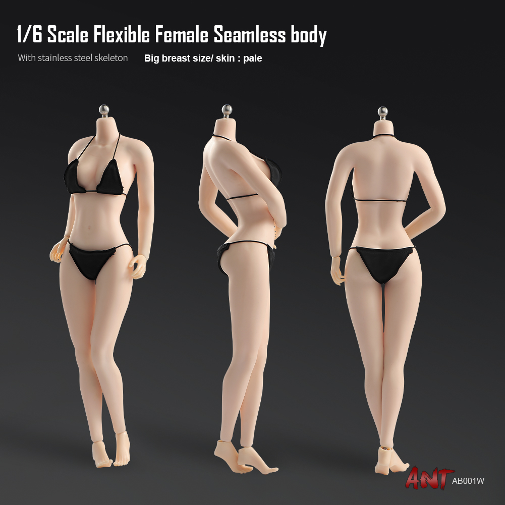 Amazon.com: 1/6 Scale Female Body,12inch Asian Girl Type Seamless