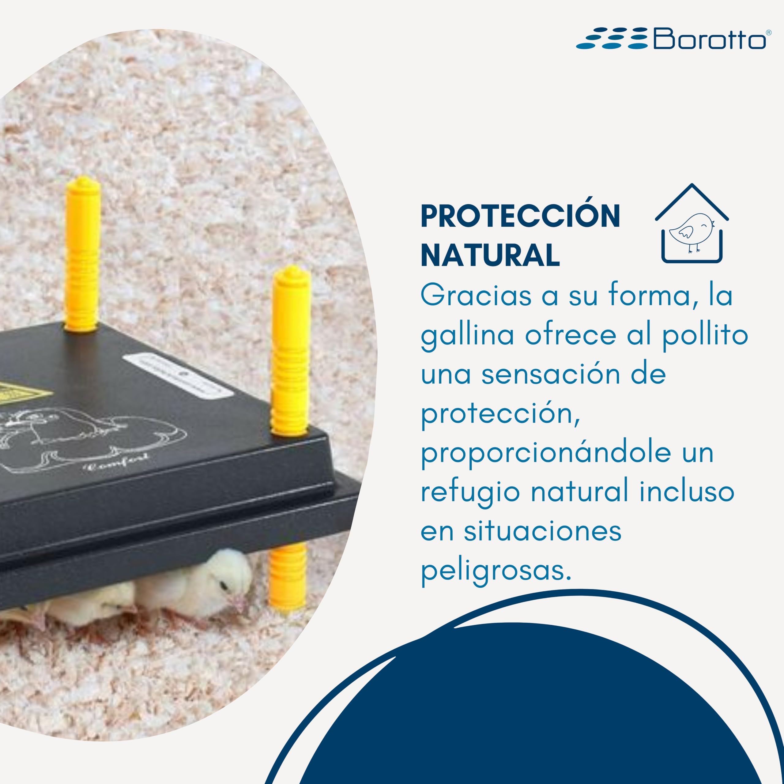 Borotto Criadora de Pollitos Placa de Calor Altura Ajustable Bajo Consumo 20/25 Pulcini