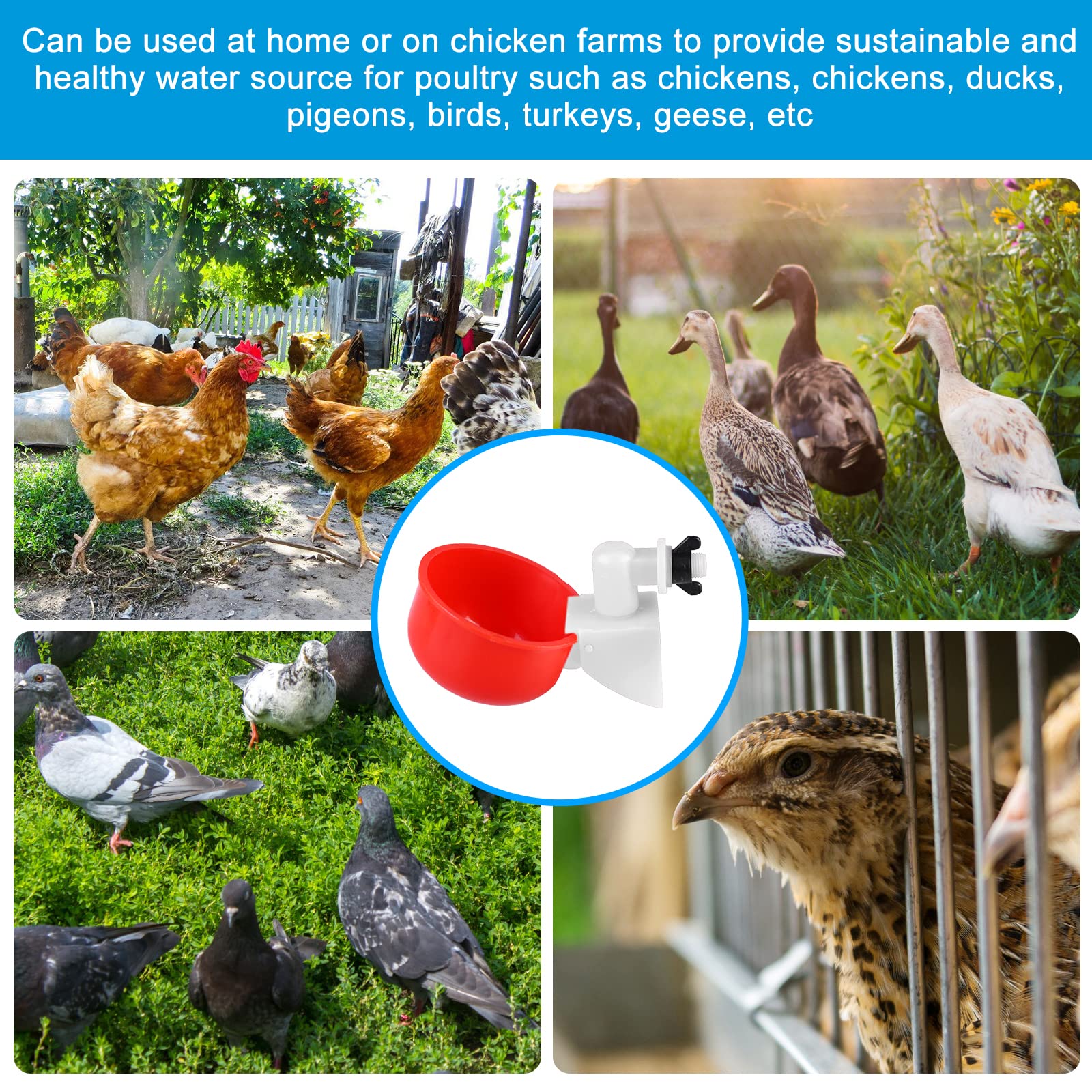 8 Pezzi Abbeveratoio Automatico Per Polli - Sistema Ad Approvvigionamento Idrico A Gravit&agrave; Per Pollame, Uccelli E Anatre