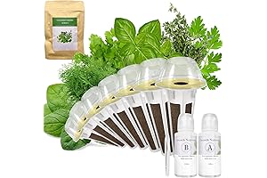Aerogarden Seed Pods Cilantro: Grow Fresh Herbs Indoors Year-Round