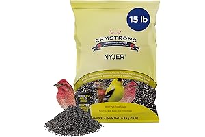 Armstrong Nyjer Plus Bird Seed - the ultimate treat for your feathered friends