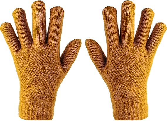 Amazon Co Jp グローブ Phylamb 手袋 登山 ドライブ レディース 裏起毛 保温性 五本指 冬 秋 ニット手袋 クリスマス 誕生日 暖かい プレゼント 手袋レディース 防風 保温グローブ スマホ対応 ふわふわ 手袋冬 おしゃれ 滑り止め付き 冬用 保温 防寒 通学通勤 ファッション