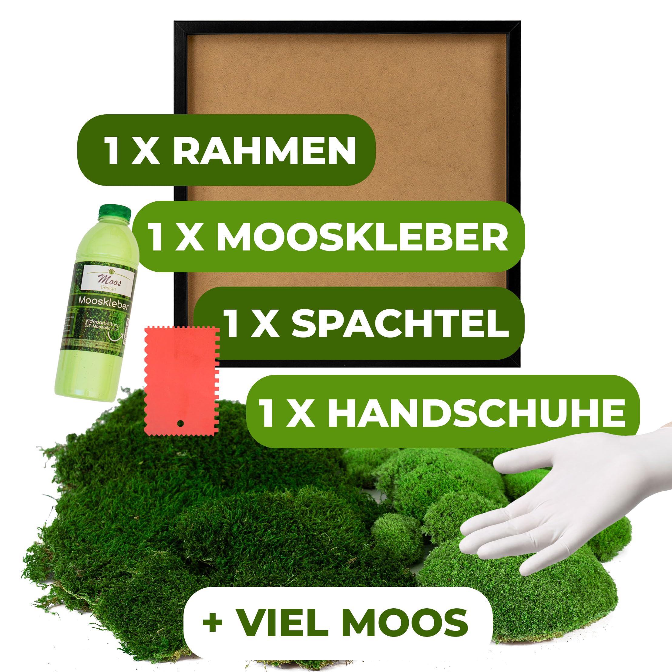 Moosbild DIY versch. Größen (Fifty Fifty Design, Holzrahmen: schwarz, 55 x 55 cm)