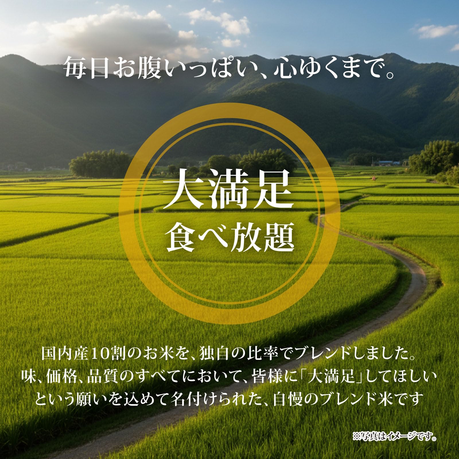 Amazon.co.jp: 【精米】大満足食べ放題5kg : 食品・飲料・お酒