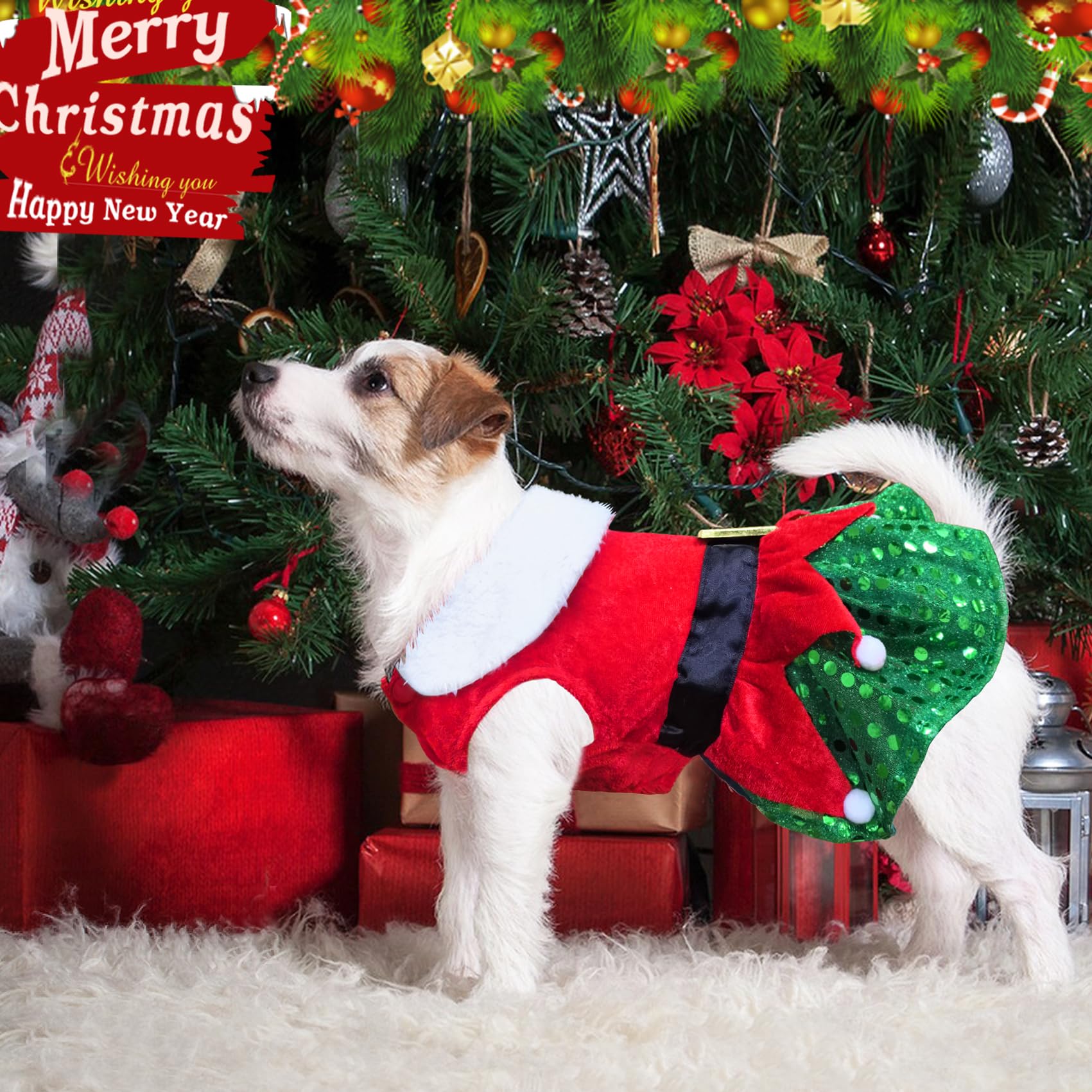 cute dogs dressed up for christmas FUNNY DOGS IN CHRISTMAS COSTUME