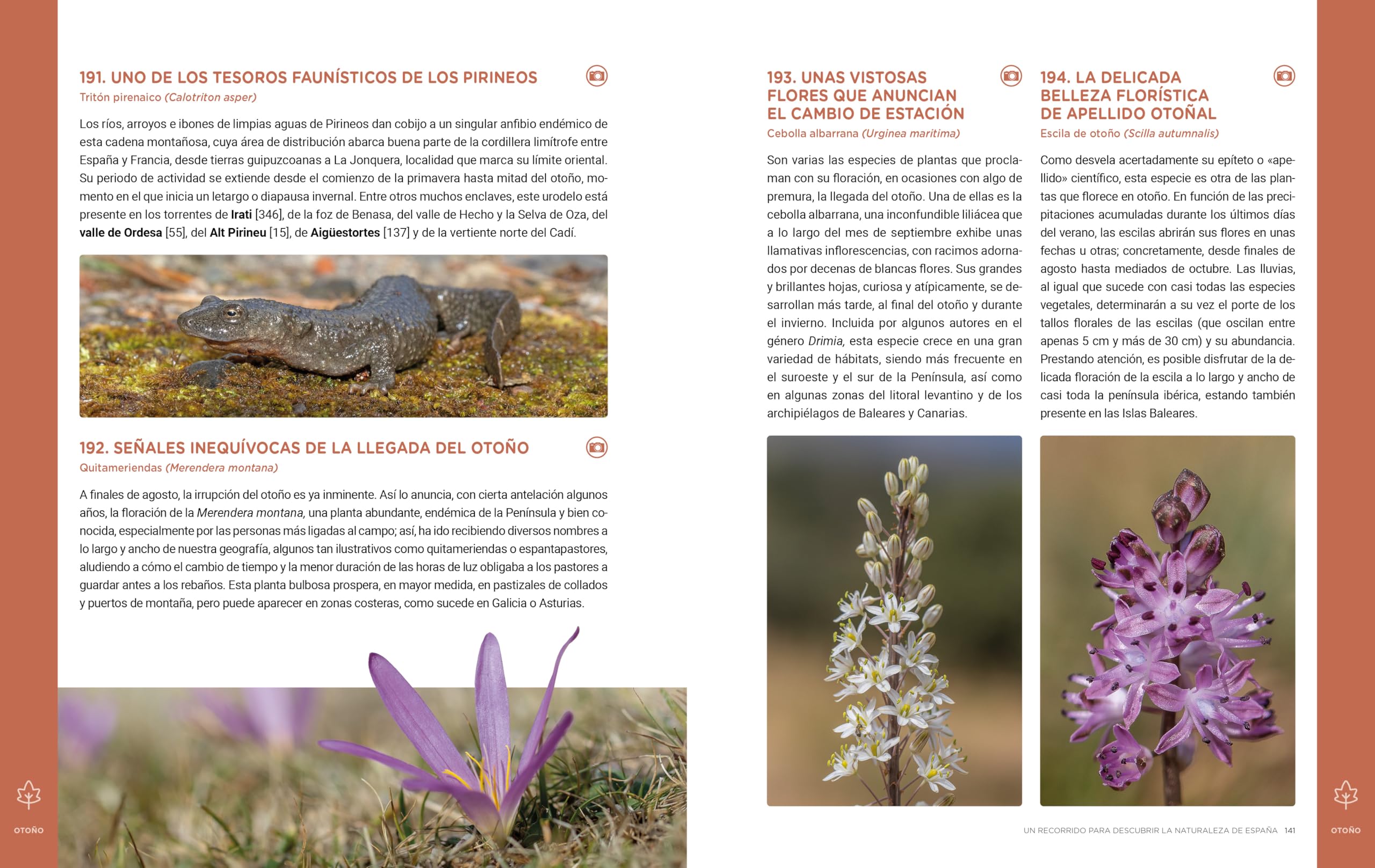 Un recorrido para descubrir la Naturaleza de España.: 365 Propuestas imprescindibles (Guías Singulares)