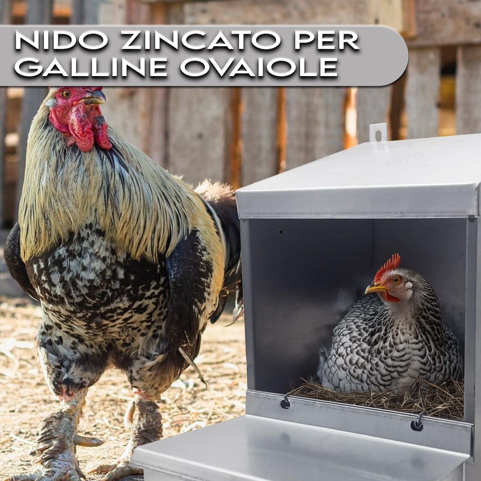 MAKA Nido per Galline Ovaiole 1 Posto Struttura in Lamiera e Rete Zincata Inclinata con Raccolta Uova Cassetta Contenente 30 Uova Ideale Pollaio Interno ed Esterno Tetto Spiovente 33x31x50 cm