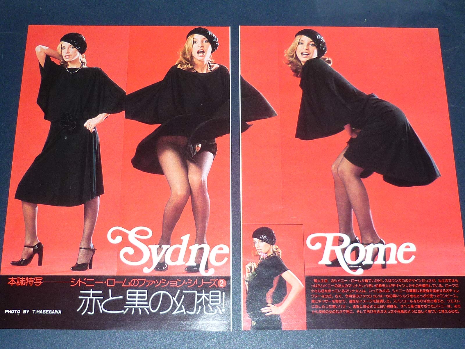 Amazon.co.jp: 映画女優 シドニー・ローム 1970/1980年代雑誌切り抜き 