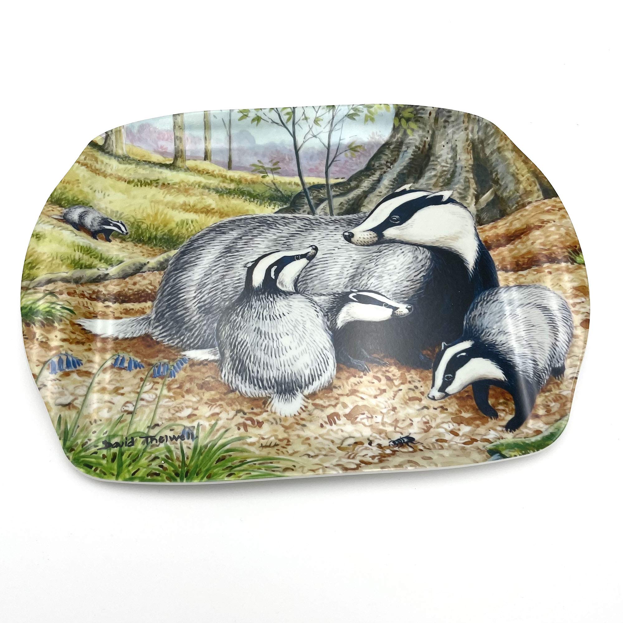 Medium Serving Tray. Badgers by David Thelwell