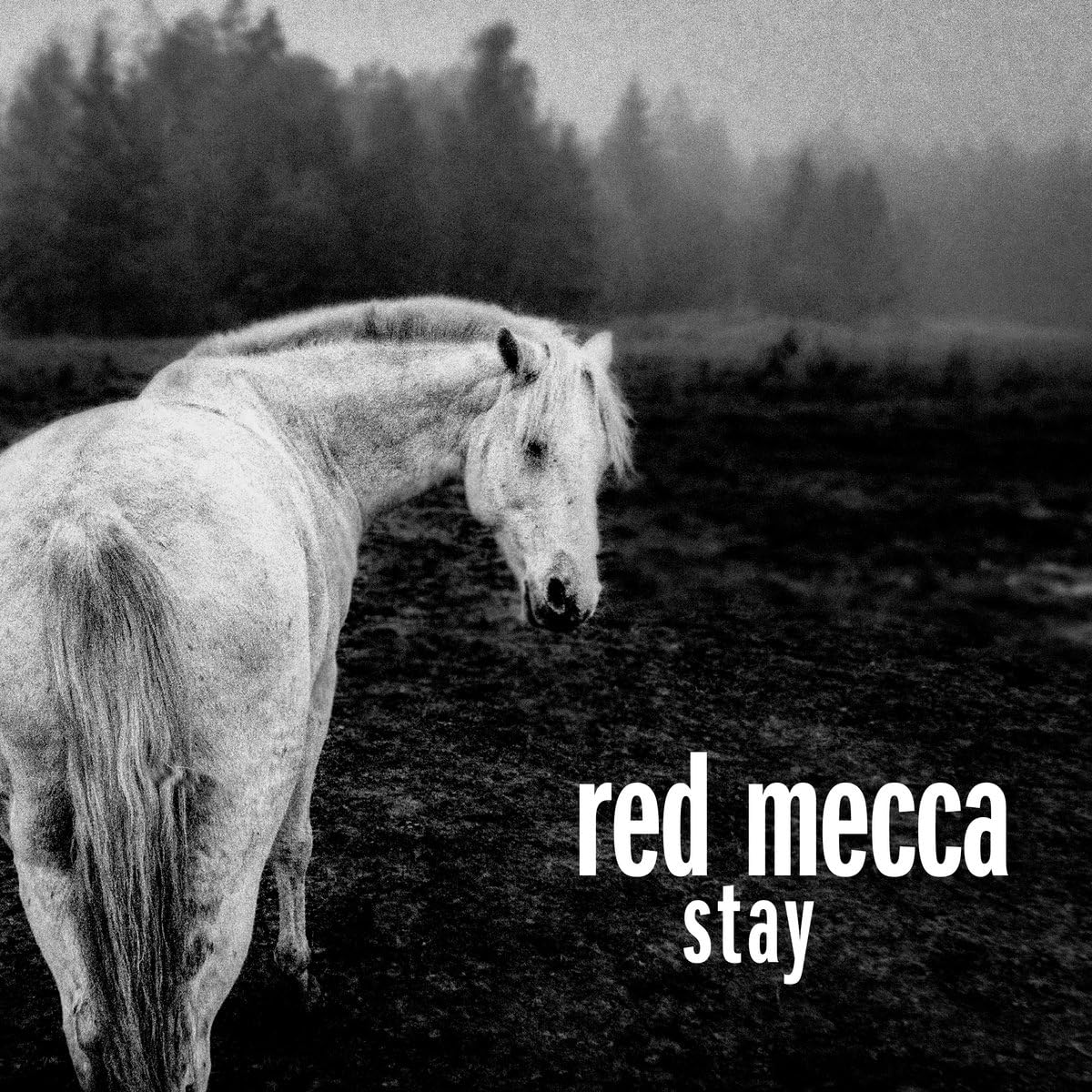 Stay (Clear Vinyl 2lp) [VINYL]