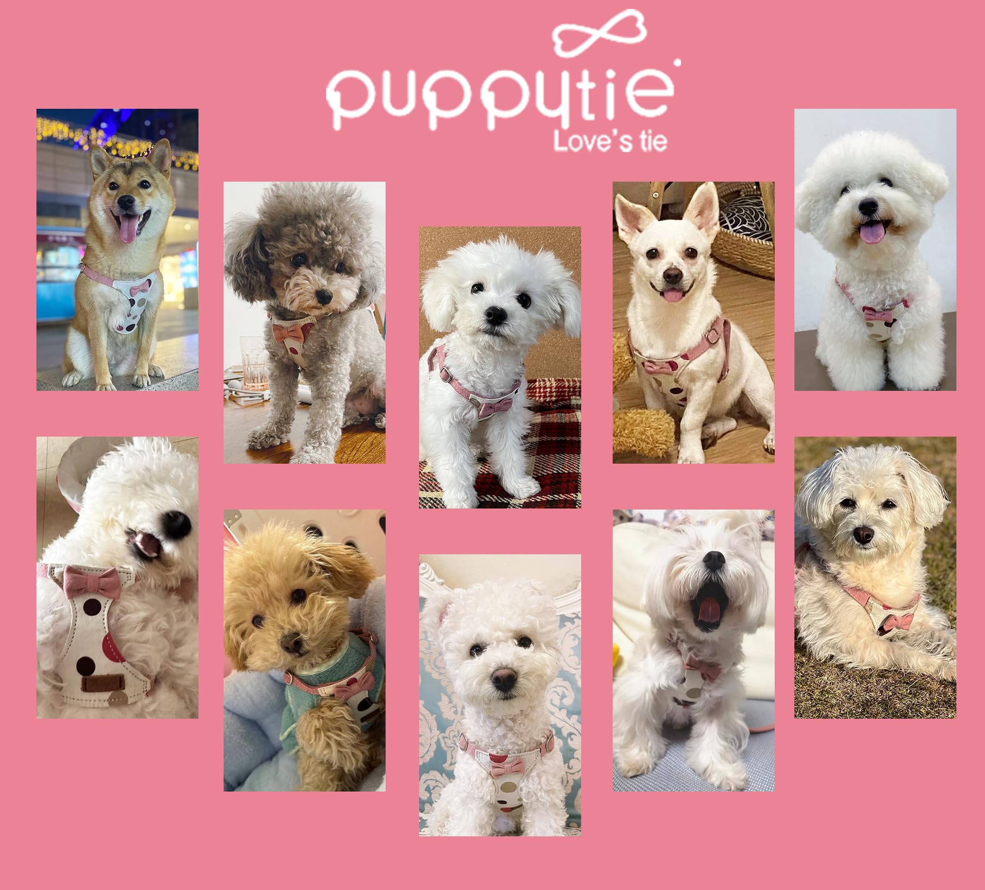 Puppytie Juego de arnés y correa para perro pequeño, lunares rosados, M (16-31 libras) | Arnés para perro de tamaño pequeño, suave y ligero, correa multifunción para perro, arnés para perro de tamaño mediano
