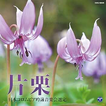 平成二十七年度(第五十一回) 日本コロムビア全国吟詠コンクール課題吟 [CD] Amazon.co.jp: 平成二十六年度(第五十回) 日本コロムビア全国