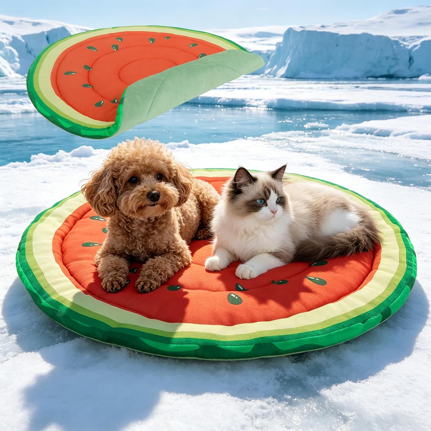 EXPAWLORER Dog Cooling Mat, Double-Sided Cooling Pad for Dog Cats Kitten,24" Thick & Durable Portable Pet Bed for Summer,Washable Cooling & Warm Blanket for Indoor,Outdoor,Watermelon (Red)