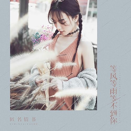等风等雨等不到你