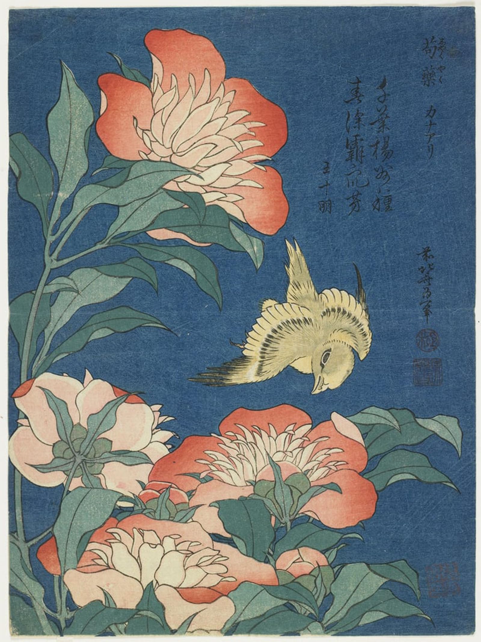 ARTXLXXBN Famous Painting Art Wall Decor Abstract Art Picture Peonies and Canary by Katsushika Hokusai Animal Pictures for Home Decor 60x90cm