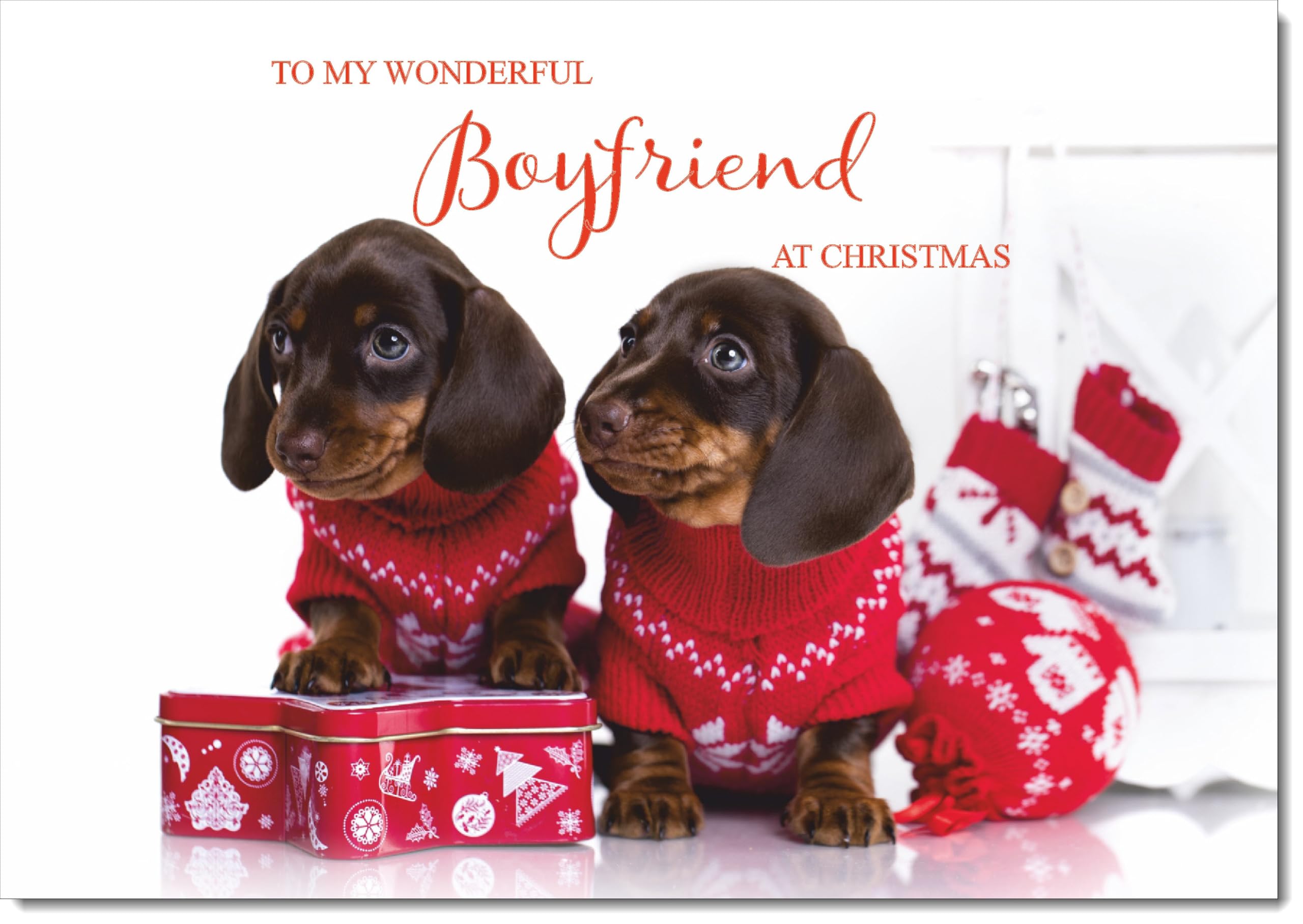 doodlecards Boyfriend Christmas Card Two Dogs with Christmas Jumpers Large A4 Size Christmas Card for Boyfriend with Plain Envelope