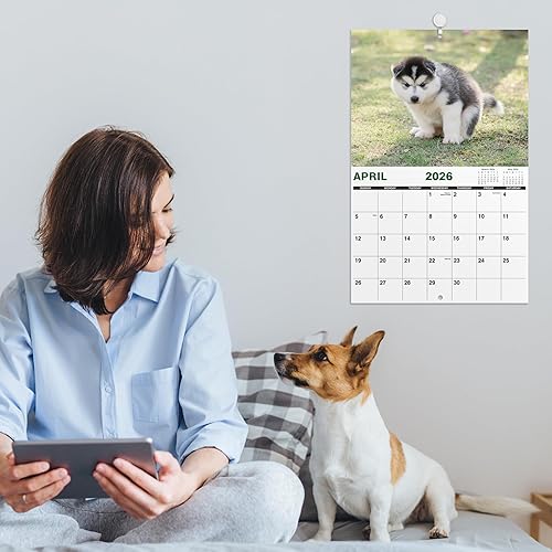 Miniatura 7 de Gag Gifts - Calendario 2021, calendario de pared, perros haciendo popo, para regalos de broma, enero a diciembre del 2021, 28 x 43.18 cm (11.0 x