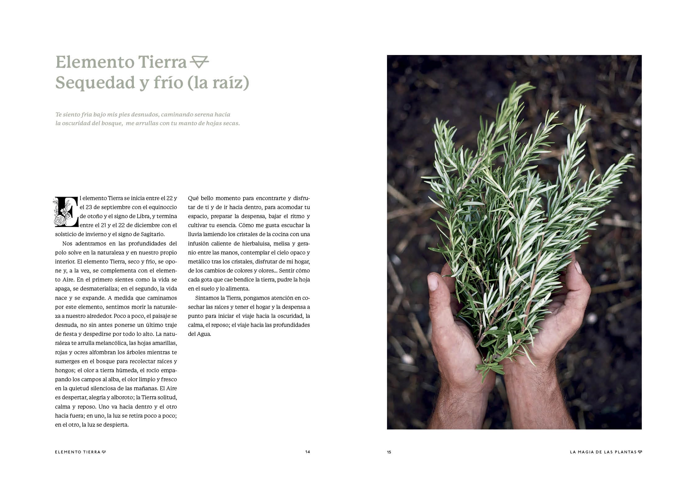 La magia de las plantas: Vol. 3. Elemento Tierra. La raíz