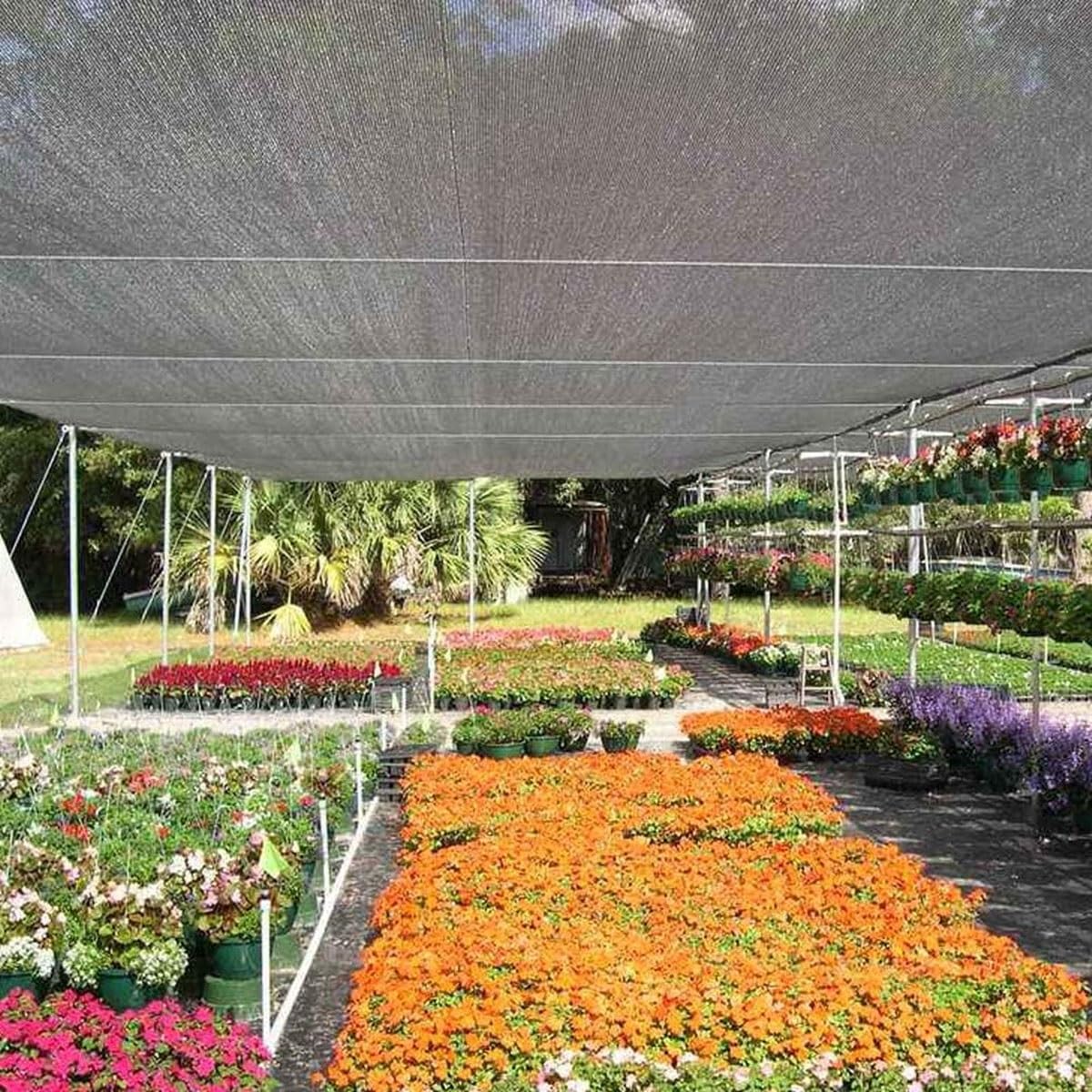 HOMEe Red con ojales 70% de protección UV ligera para invernadero Pera pollo 6 m x 6 m exterior
