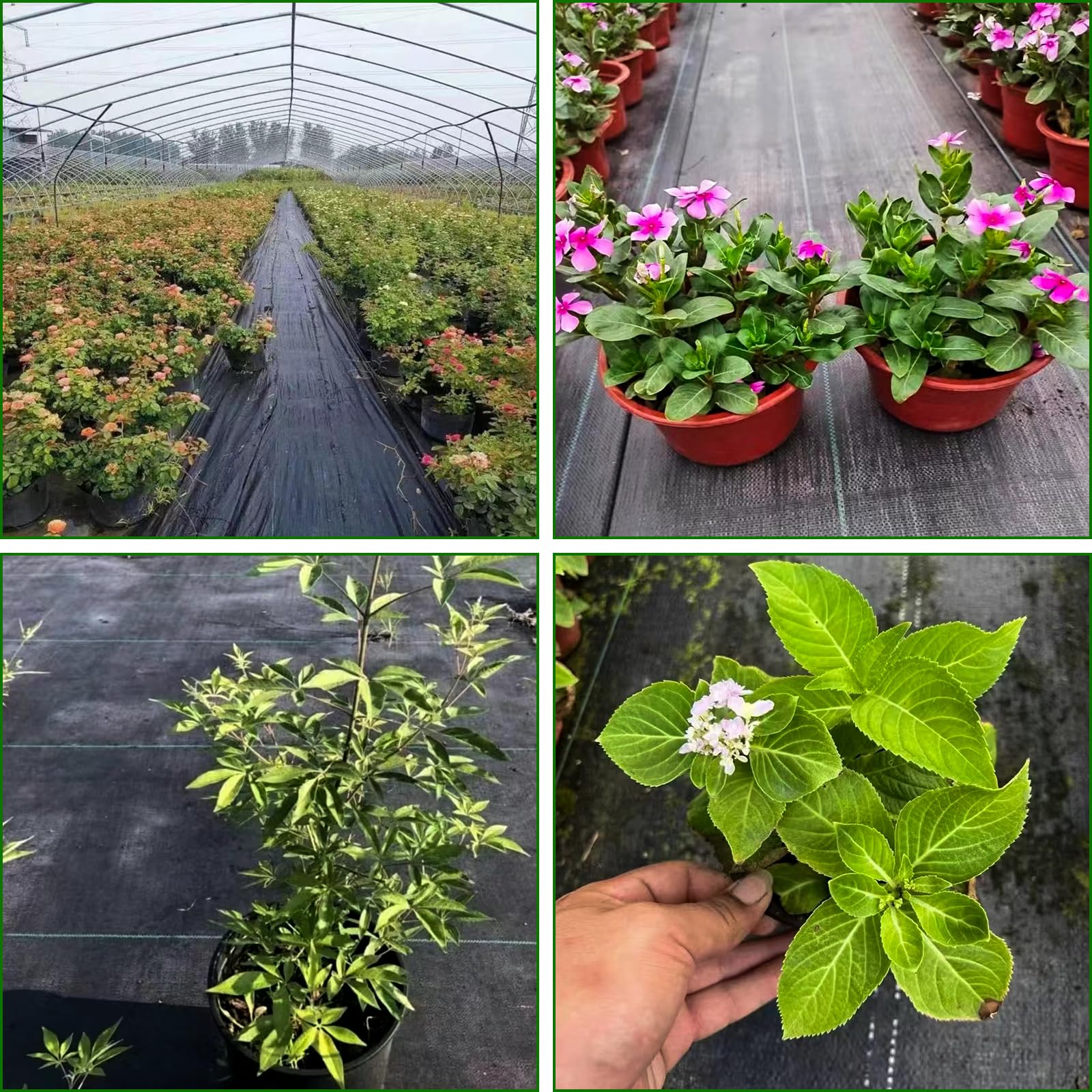Włóknina przeciw chwastom ogrodowa 3 m x 10 m, 30 m² 90 g/m², włóknina przeciw chwastom, przepuszczająca wodę, odporna na rozerwanie, włóknina przeciw chwastom, folia do roślin, do ogrodu