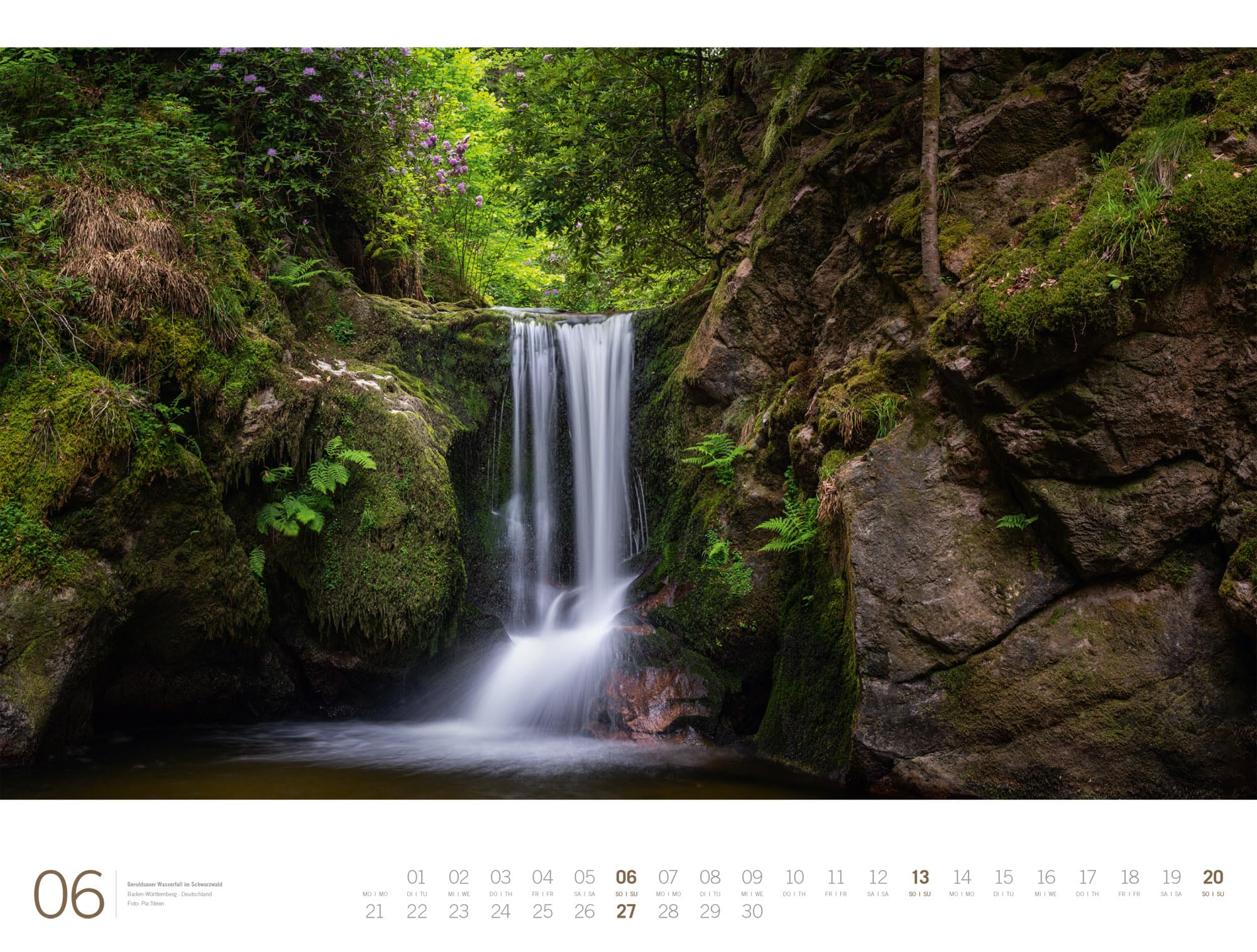 Wald Gallery Kalender 2027: Geschmackvoller Natur-Kalender im großen Querformat (66x50 cm) | Wälder und Bäume im Großformat